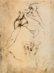 Étude anatomique masculine; dessin de Michel-Ange. Casa Buonarroti, Florence